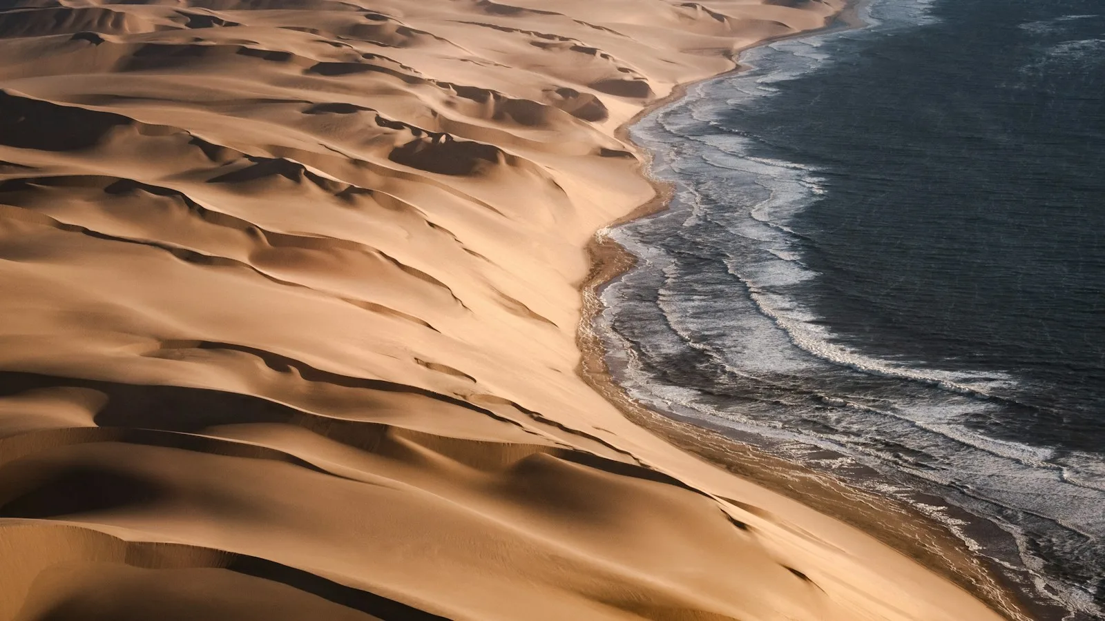 Les activités incontournables de la Côte Atlantique