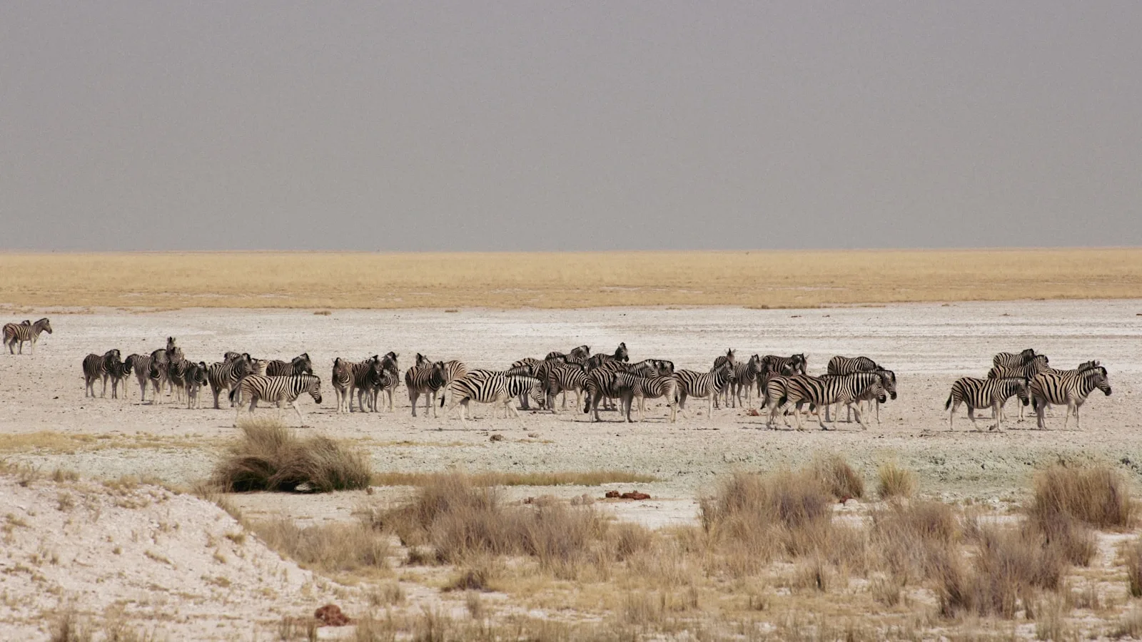 ️ Jour 9 — Route vers Etosha (290 km)