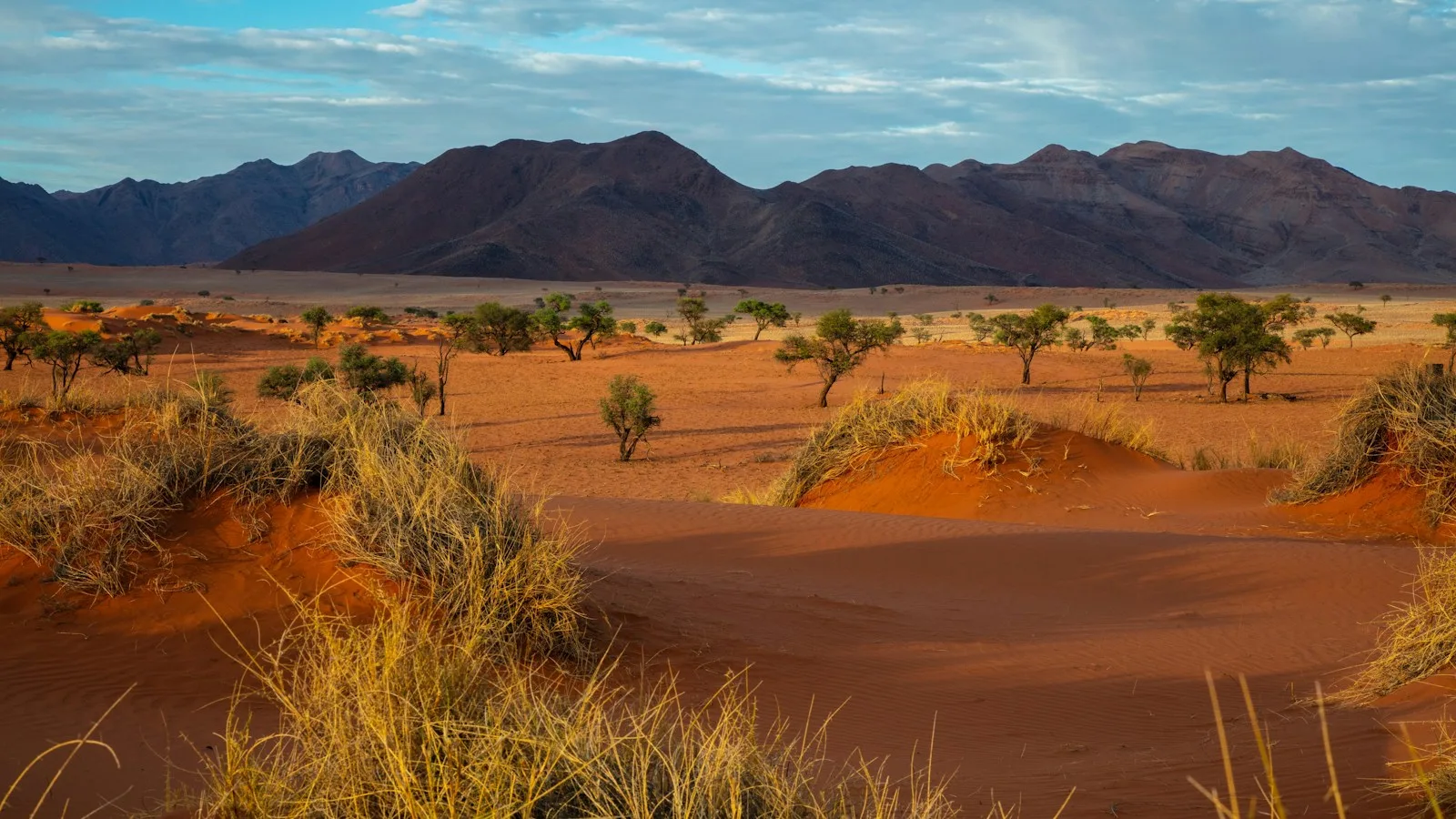 Navette touristique sur une route de gravier namibienne entre deux lodges, sans location de voiture