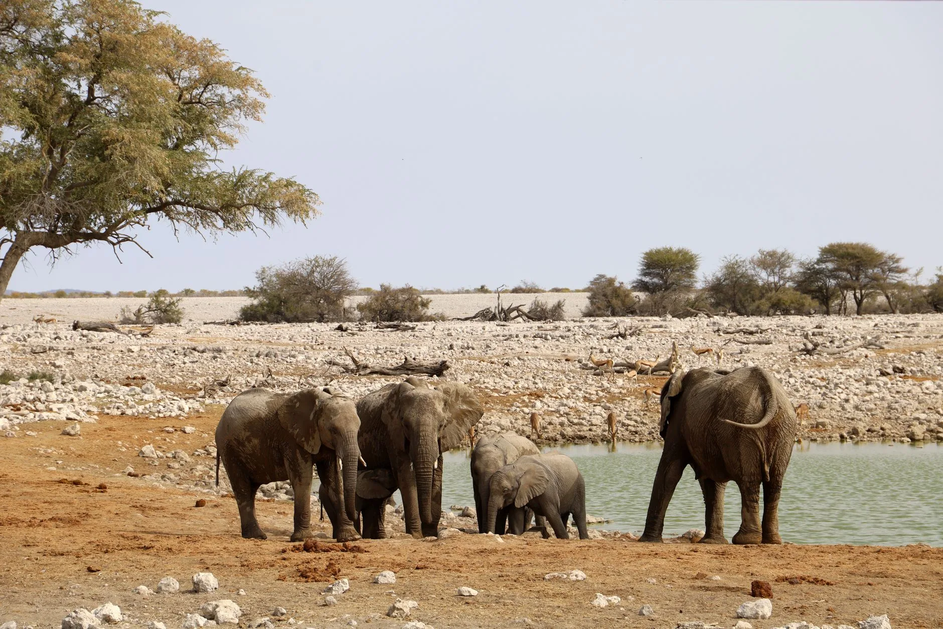️ Les camps officiels NWR à l'intérieur du parc