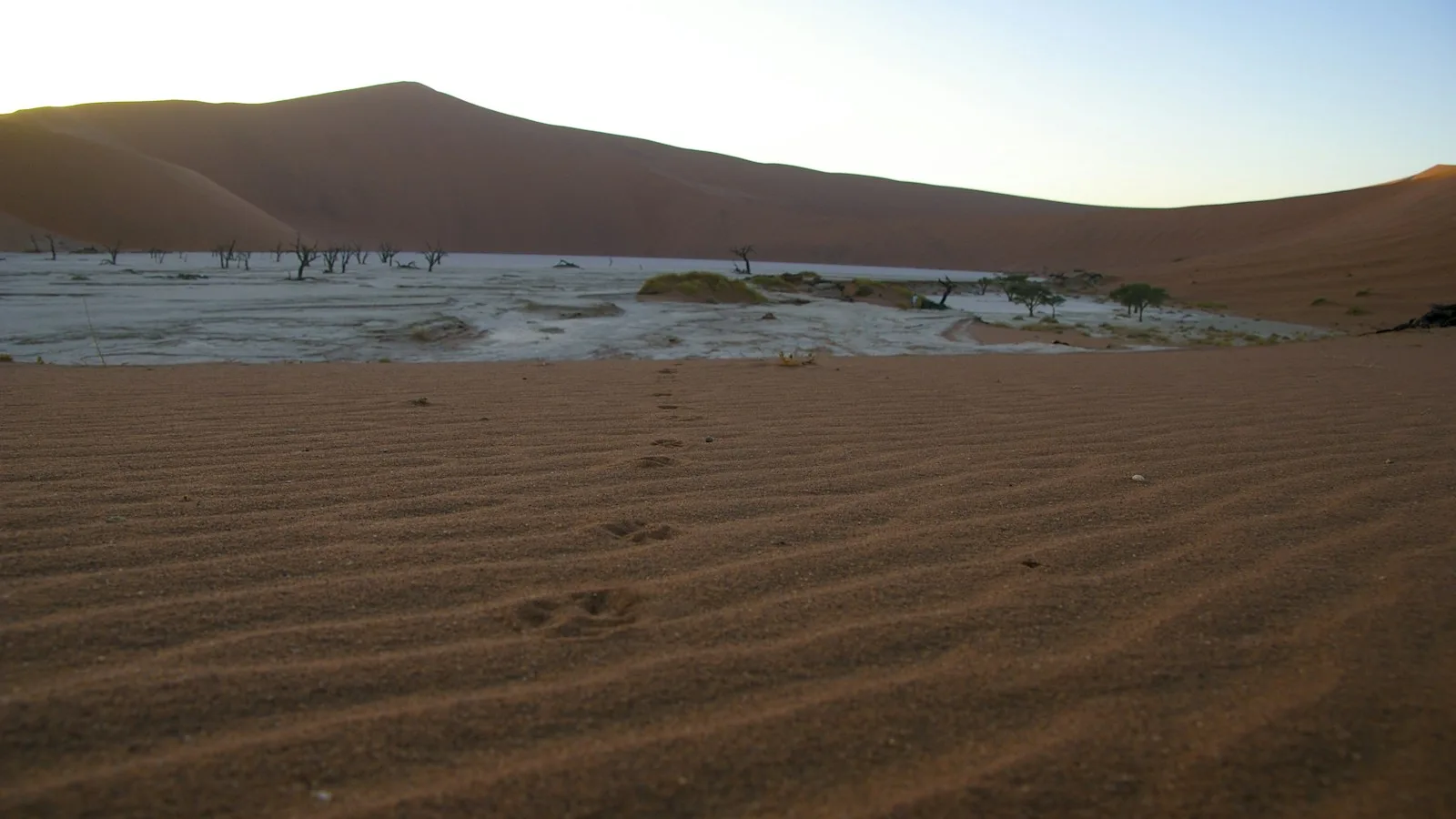 Jour 7-8 : Sossusvlei, étonnamment fiable
