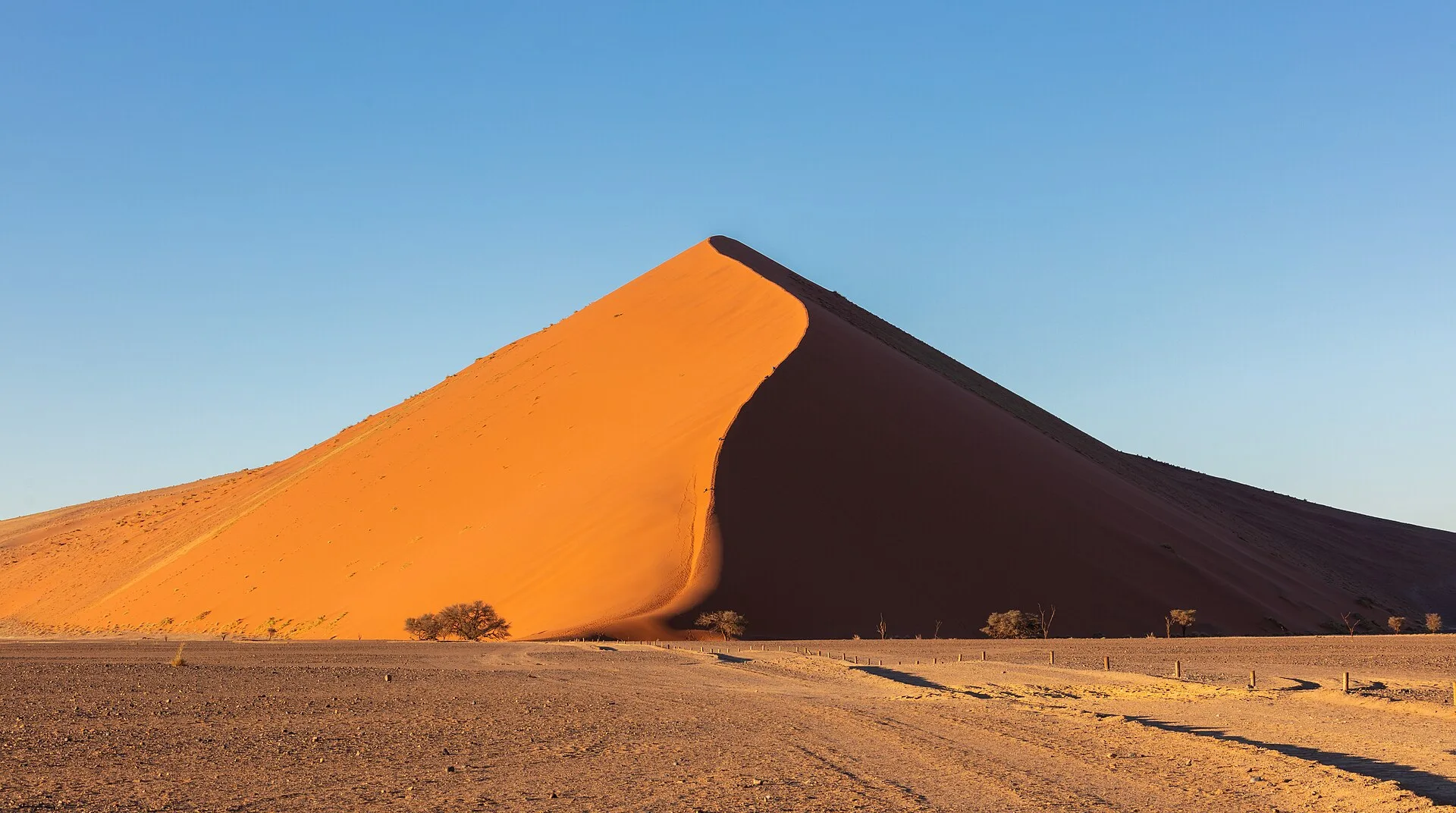 Grande dune de sable orange éclairée par le soleil, avec une face à l'ombre, des arbustes et une piste dans le désert de Sossusvlei