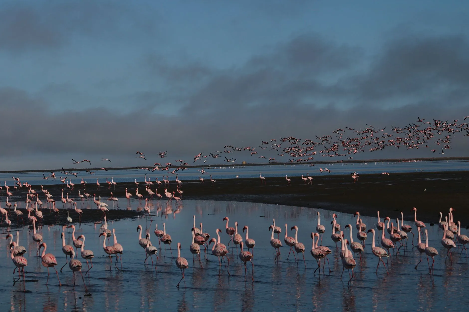 Choisir Walvis Bay : pour qui ?