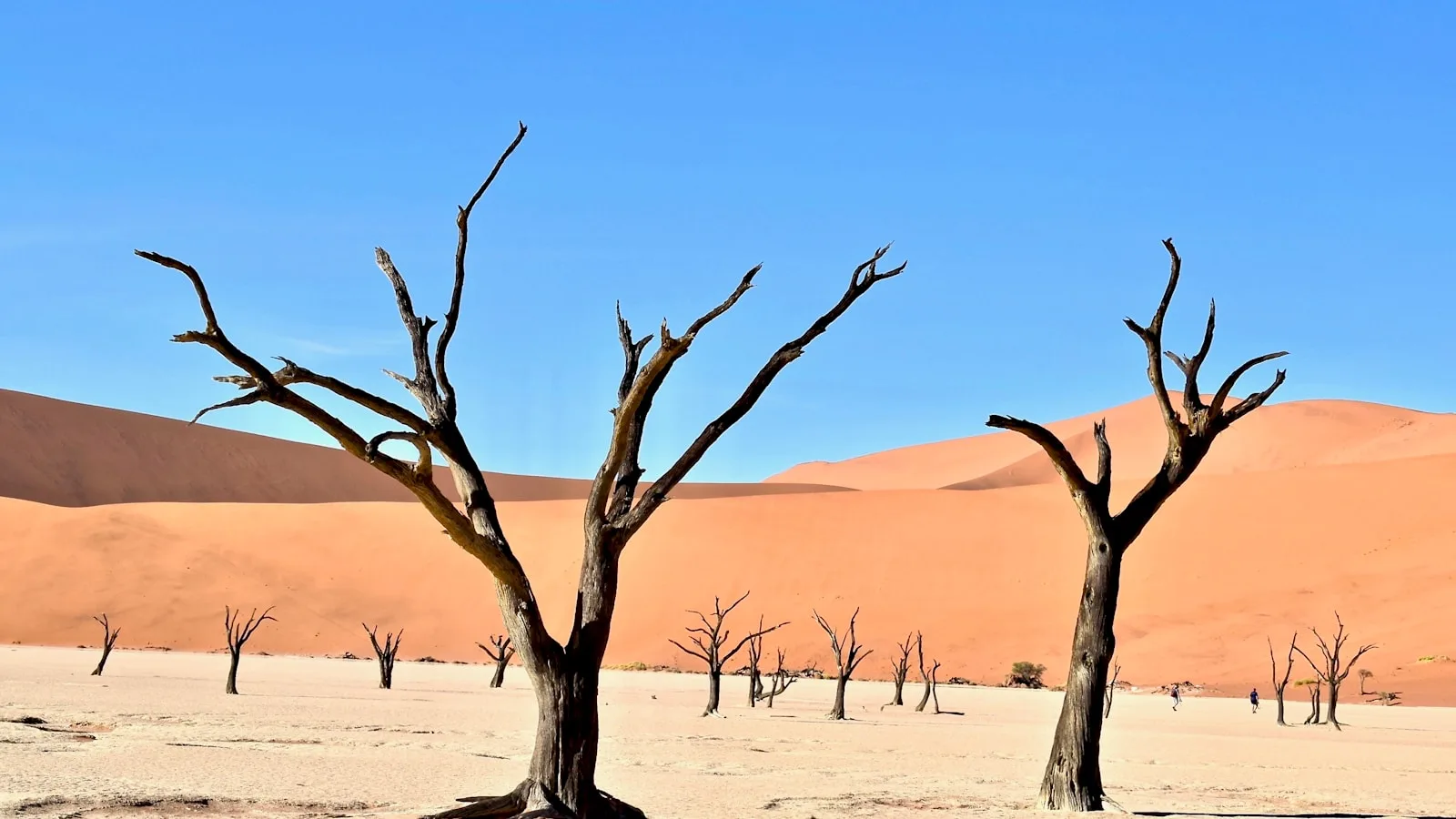 Les vleis : Deadvlei, Big Mama et Hidden Vlei