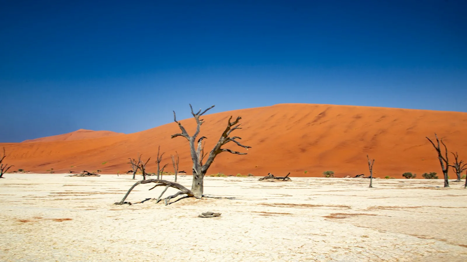 Montgolfière ou dunes à pied : que choisir